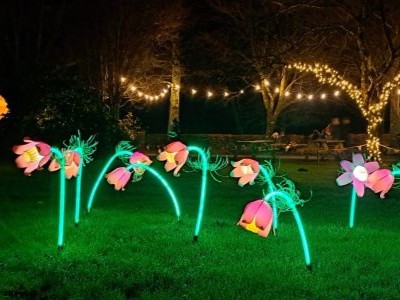 HELIGAN GARDENS CHRISTMAS LIGHTS